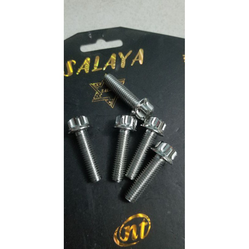 ốc salaya 10ly