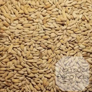 Lúa tiêu ruột đỏ - 1 ký- Ngũ cốc Đặng Nam