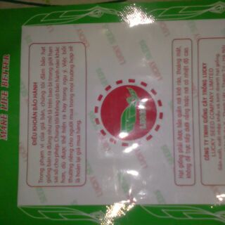 Hạt giống măng tây tím và xanh