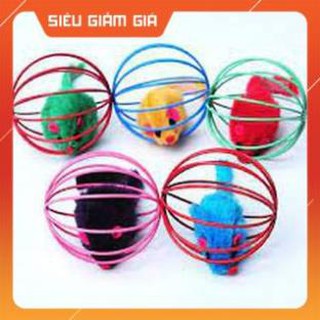 Đồ cho chơi mèo - Bóng lồng chuột