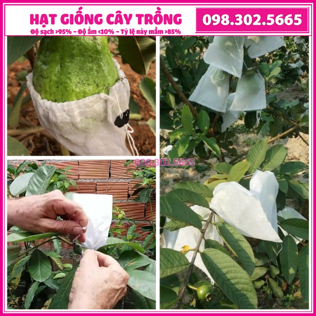 Set 200 Túi bọc trái cây Ổi, na chống côn trùng có dây rút 18x18cm