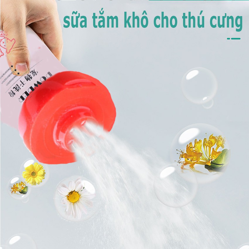 sữa  tắm khô cho chó