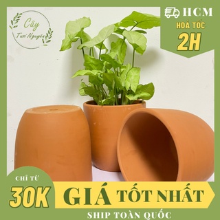 Chậu trứng đất nung , gốm đất nung, chậu cây mini, sen đá, xương rồng cây tươi nguyên ctn0970