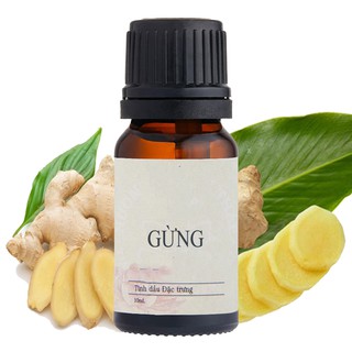 Tinh Dầu Gừng 10ml Tinh Dầu Thiên Nhiên