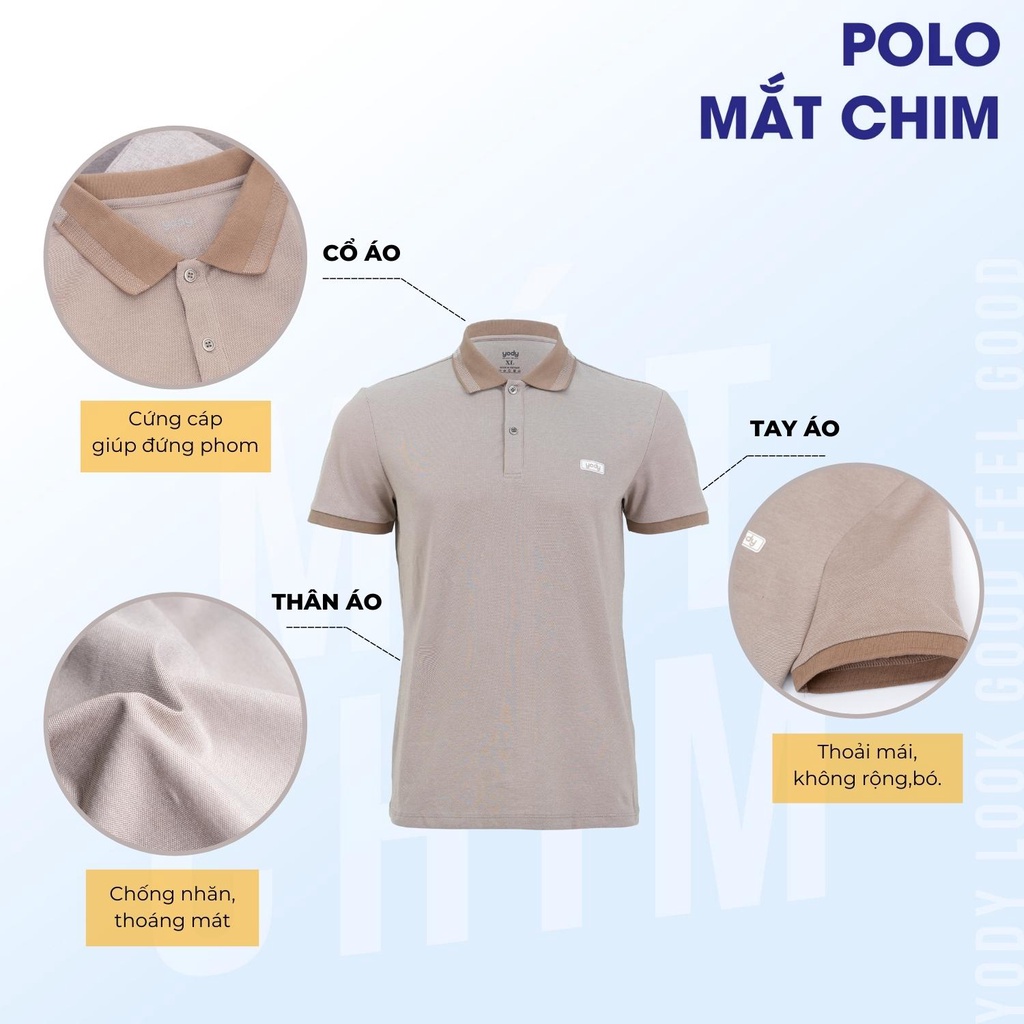 Áo phông polo nam YODY mắt chim, chất liệu cotton tay ngắn cổ bẻ phối bo tỉ mỉ, chuẩn phom thanh lịch APM3299