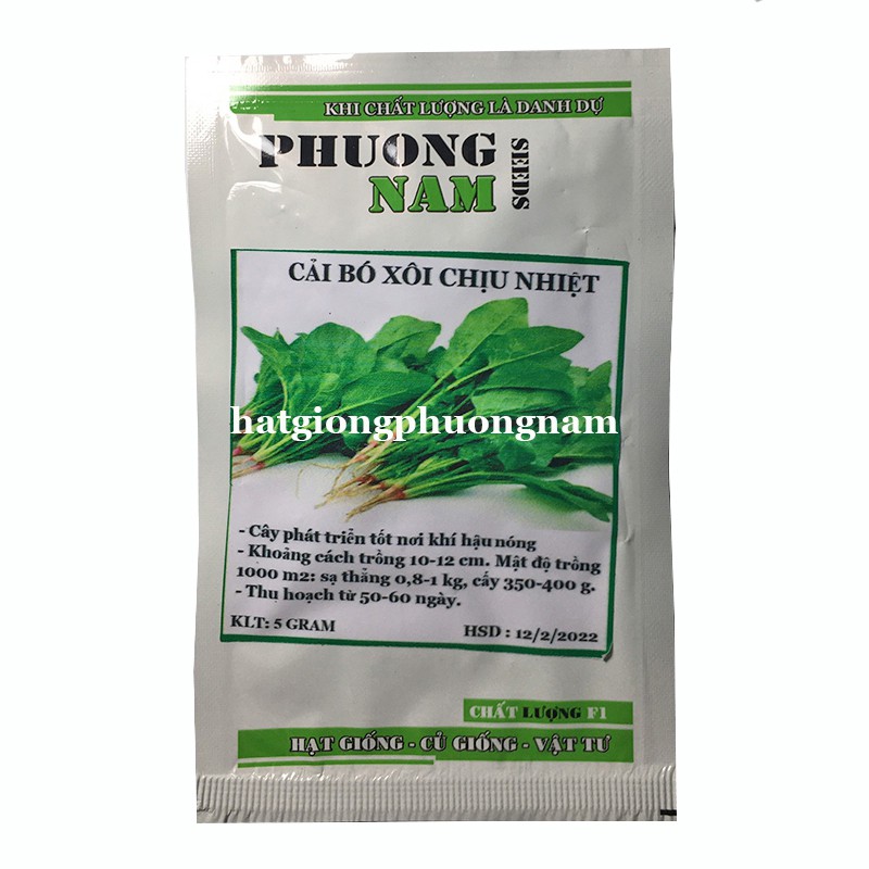 5GR - HẠT GIỐNG CẢI BÓ XÔI