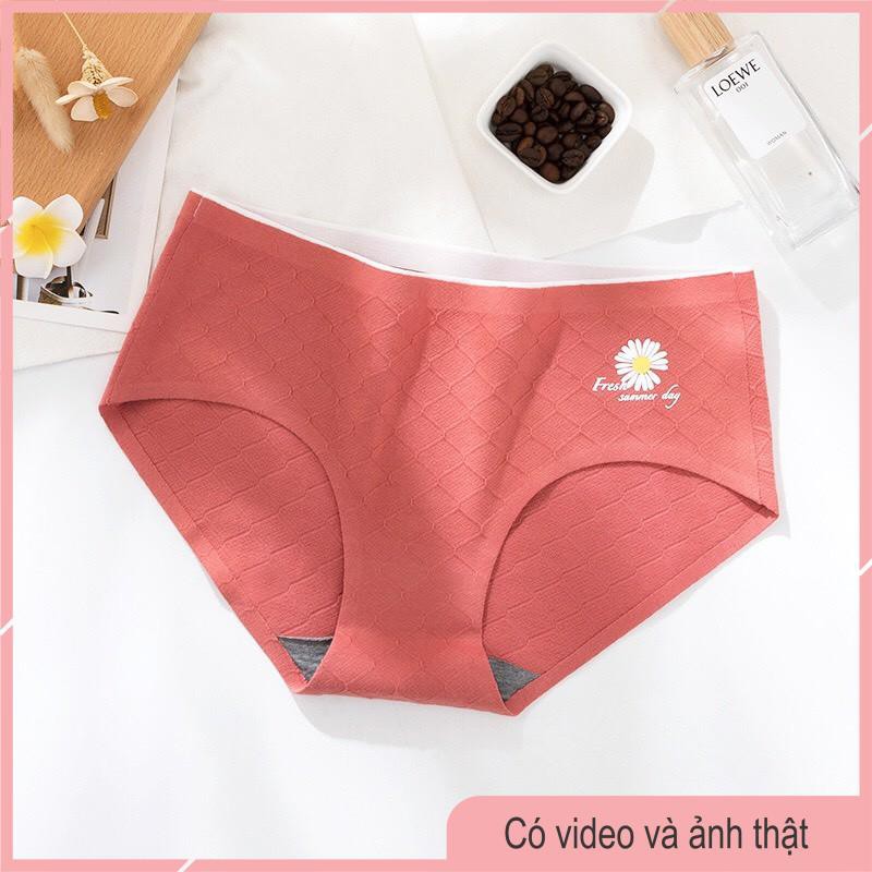 Quần Lót Cotton Thông Hơi Khàng Khuẩn, Không Đường May, Họa TIết Cúc Daisy Hot Trend 2020 -19 | BigBuy360 - bigbuy360.vn