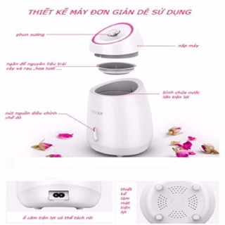 Máy xông mặt hoa quả Maoer