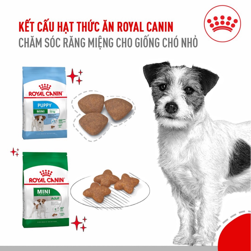 Thức ăn hạt cho chó Royal Canin Maxi Adult, túi 1Kg