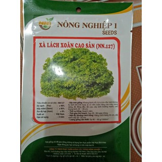 Hạt giống xà lách xoăn cao sản