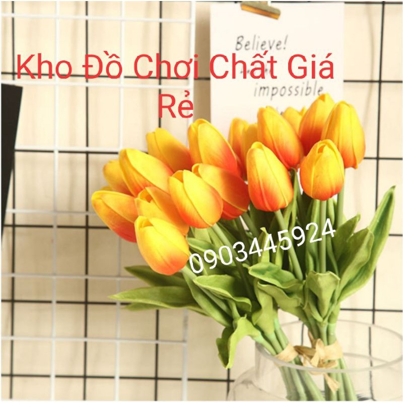 Hoa Tuylip Casu Cao Cấp dài 35cm-Hoa Giả