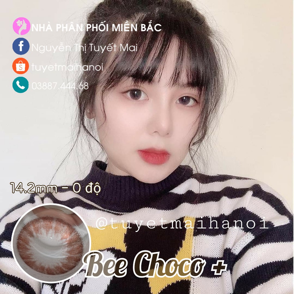 [ Ảnh Thật ] Lens Màu Nâu Tự Nhiên Siêu Êm Siêu Mềm Bee Choco 14.2mm - Kính Áp Tròng Hàn Quốc Vassen Sexy Me