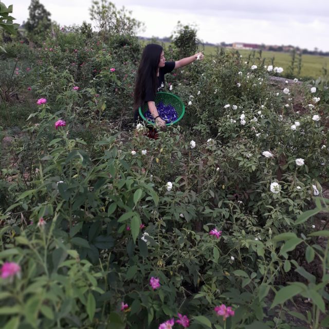 anhphuonghandmadestore