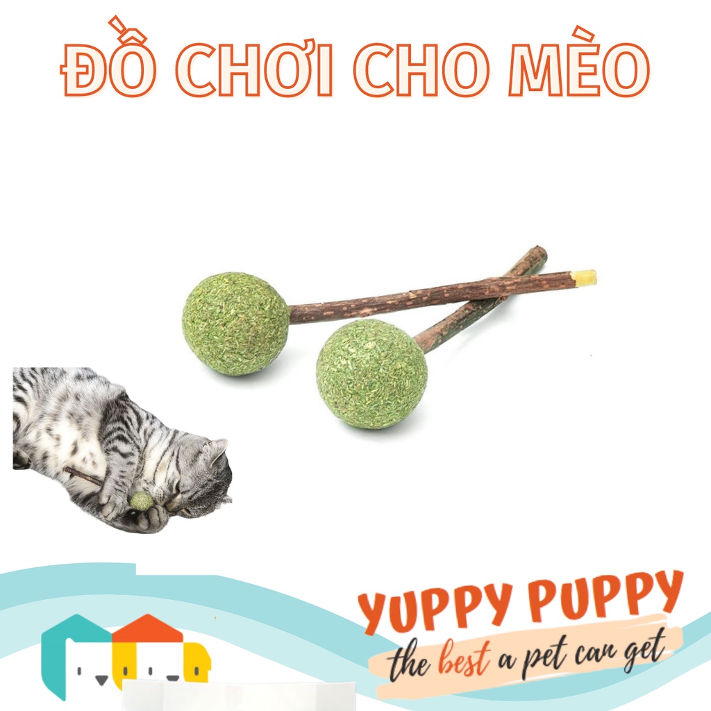 Đồ chơi cỏ mèo catnip kẹo mút nha khoa cho mèo
