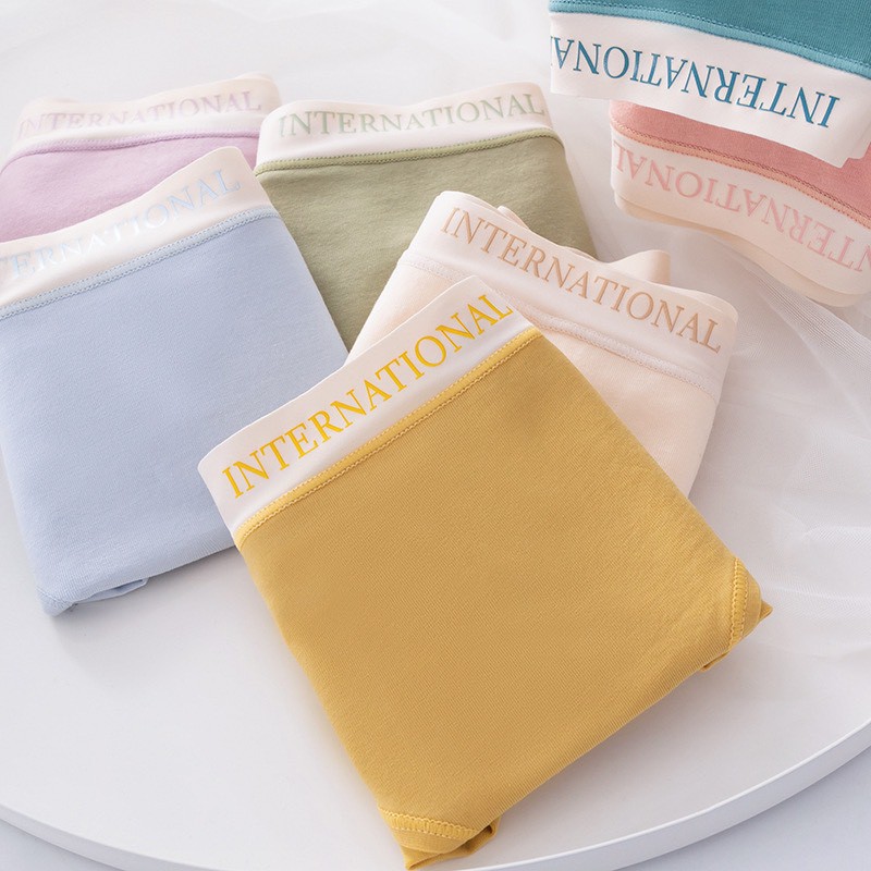 Quần Lót Nữ Cotton Cạp Su Chữ Kháng Khuẩn Cao Cấp Mã 8858