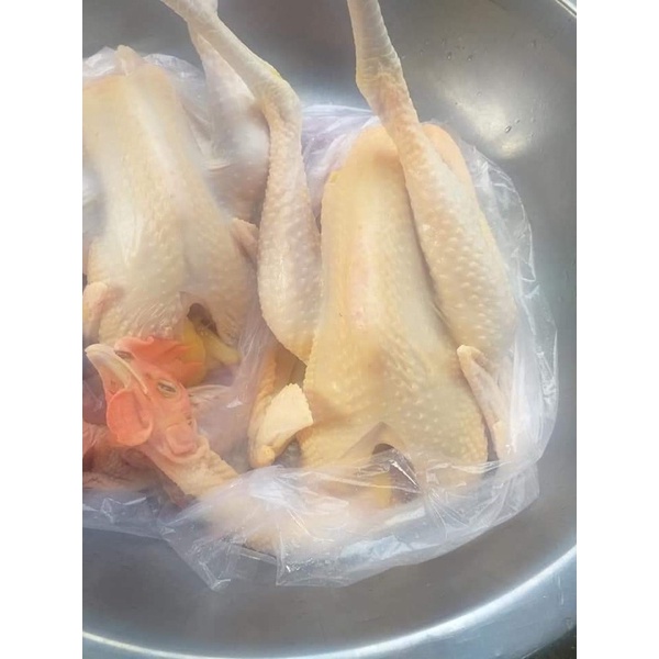 Gà nòi làm sạch ~1.5kg/con