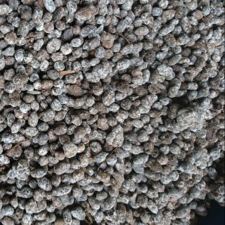 (Rẻ nhất) Phân dê cho lan cây cảnh 1kg