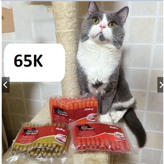 Thức Ăn Dinh Dưỡng Xúc Xích Vị Thịt Bò Mực Gà Cho CHÓ MÈO Thú Cưng Bioline 450g 30 CÂY