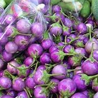 30h Hạt Giống Cà Pháo Tím