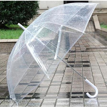 ô đi mưa trong suốt gấp gọn phong cách Hàn Quốc [thích hợp để chụp hình lãng mạn dưới trời mưa PK Tkutrang