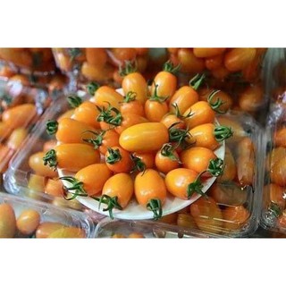Hạt Giống Cà Chua Cherry Rủ Vàng Gói 50 hạt - HÀNG CÔNG TY