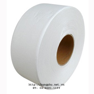 Giấy vệ sinh cuộn lớn 700g