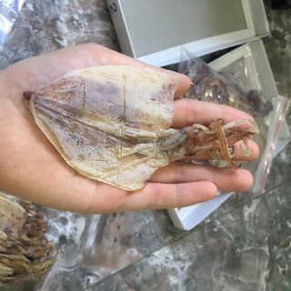 Combo 2kg mực câu mini Vân Đồn