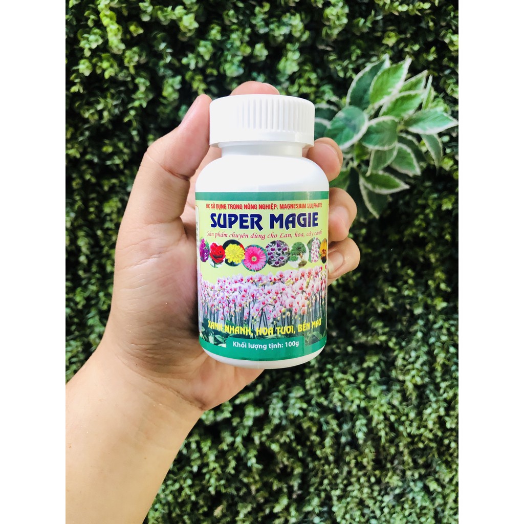 Phân bón lá Super Magie xanh, bật ngọn, phát triển nhanh dành cho cây cảnh, kiểng lá