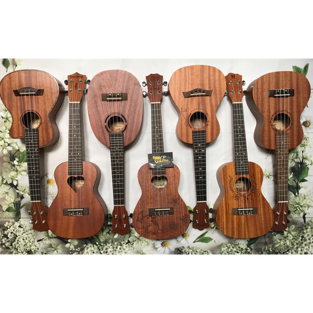 Đàn Ukulele Concert Full Gỗ Giá Rẻ CB3