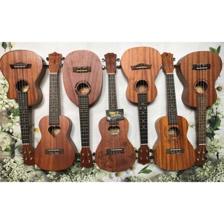 Đàn Ukulele Concert Full Gỗ Giá Rẻ CB3