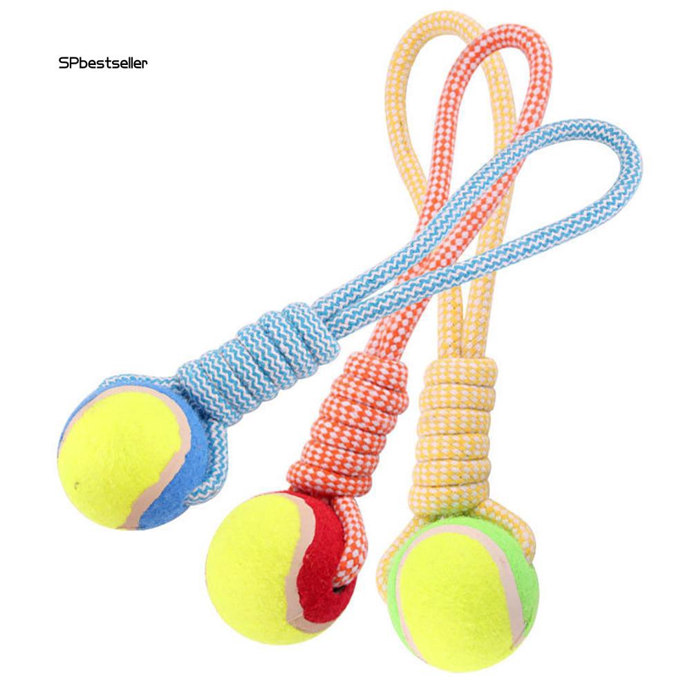 Dây bóng tennis đồ chơi cho cún cưng