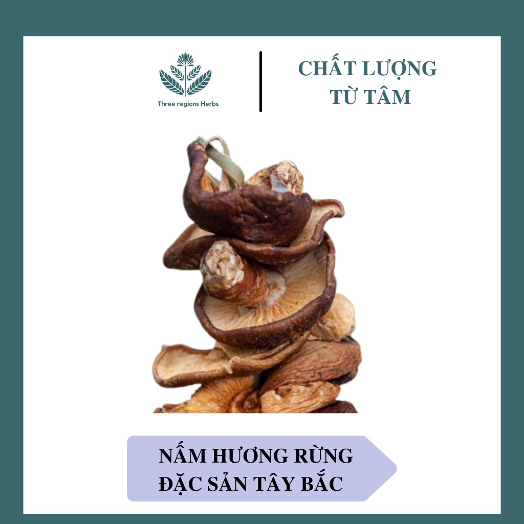 Nấm Hương Rừng Khô Tây Bắc Loại 1 - Nấm Hương Rừng Xiên Que Phơi Khô Tự Nhiên Thơm Ngọt Túi 100gr - 500gr