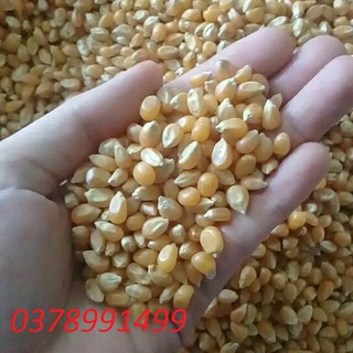 bắp nổ bắp rang bơ 1kg
