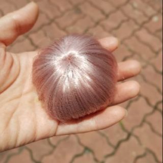 Wig bjd nam có 2 size 1/6 và 1/4