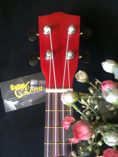 Đàn ukulele Concert GT-450