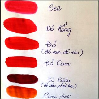 Set làm 3 cây son tint lăn