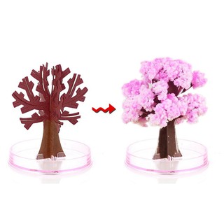 Cây thông giấy dùng trang trí Giáng Sinh