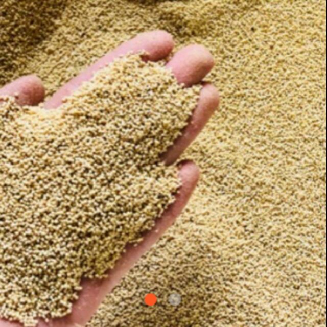 Kê nếp thuần chủng -500gr