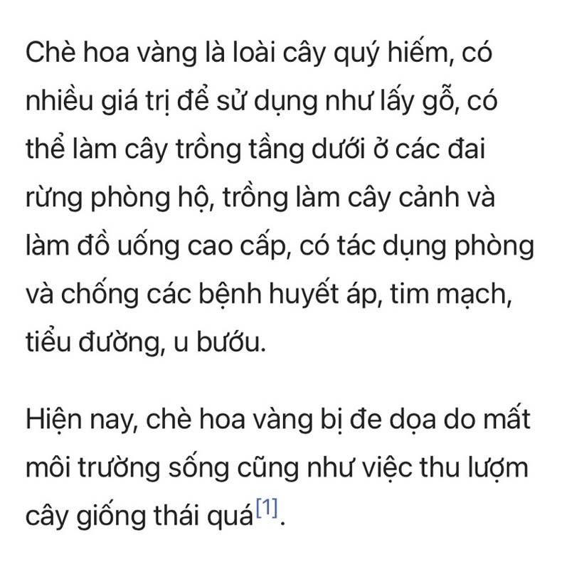 Chè hoa vàng