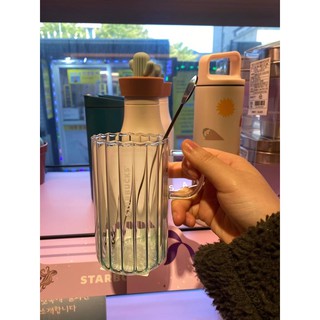 Ly Hedgehod Starbucks Korea 2021(Có Sẵn)