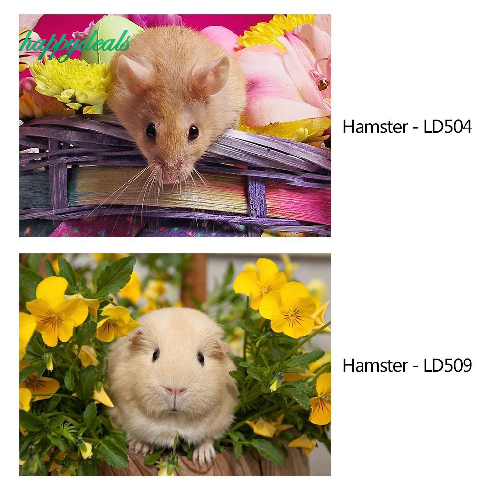 Bộ Tranh Đính Đá Tự Làm Họa Tiết Chú Chuột Hamster Đáng Yêu