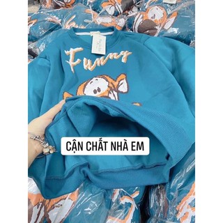 Bộ nỉ xanh chất đẹp