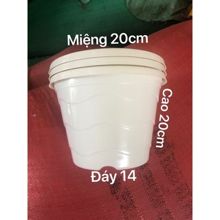 Chậu nhựa treo 10 cái sóng biển màu trắng