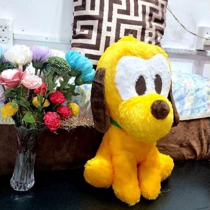 Chó bông lông xù màu vàng siêu đẹp