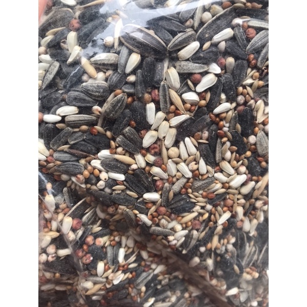 1kg - Hạt mix cho vẹt Macaw, Vẹt mào Cockatoo, Moluccan Cockatoo, Cacatua galerita, Xám, Sun, Ngực hồng...gói 1kg