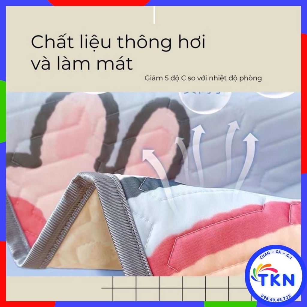 Chiếu Điều Hoà Cao Su Non In Hình 5D Cho Bé , Chiêu Cao Su Cho Bé Mẫu Mới 2022 Tặng Kèm Gối Đồng Bộ