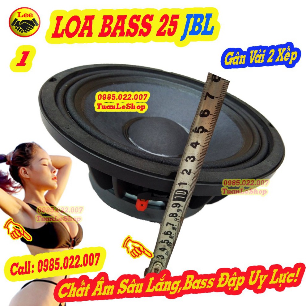 2 CỦ LOA BASS 25 LOA KARAOKE  JB L  – GIÁ 1 CẶP 2.5 TẤC