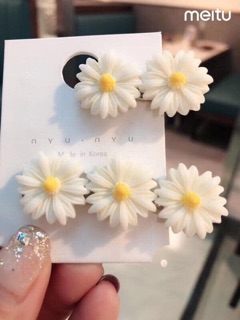 Set kẹp hoa cúc