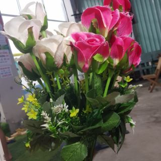 Combo Hoa hồng đà lạt và hoa điểm