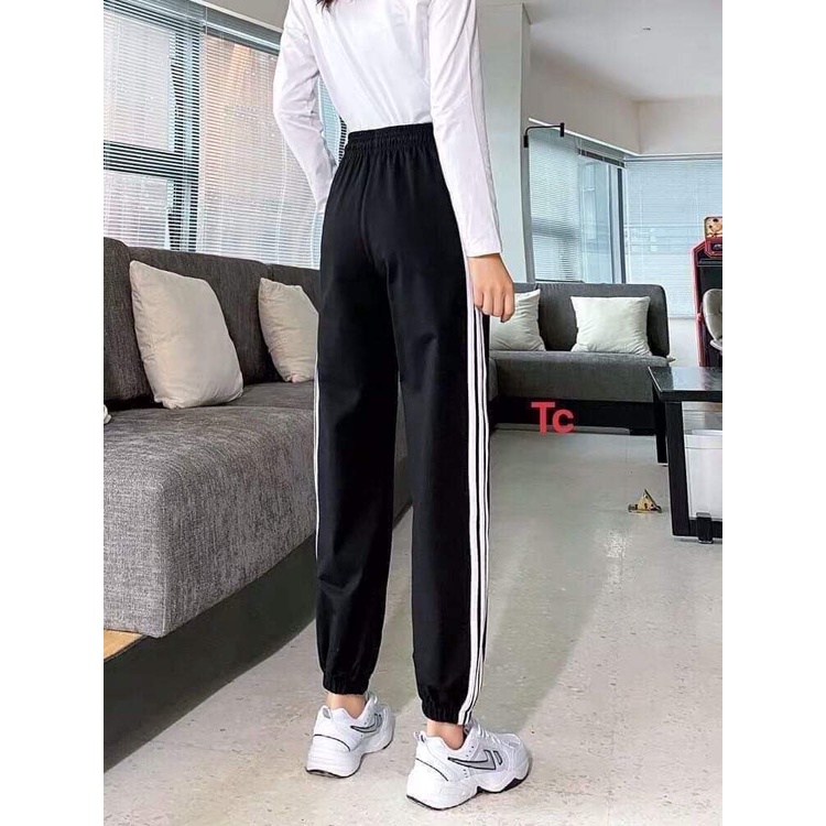 Quần 2 sọc chun gấu-3C0T